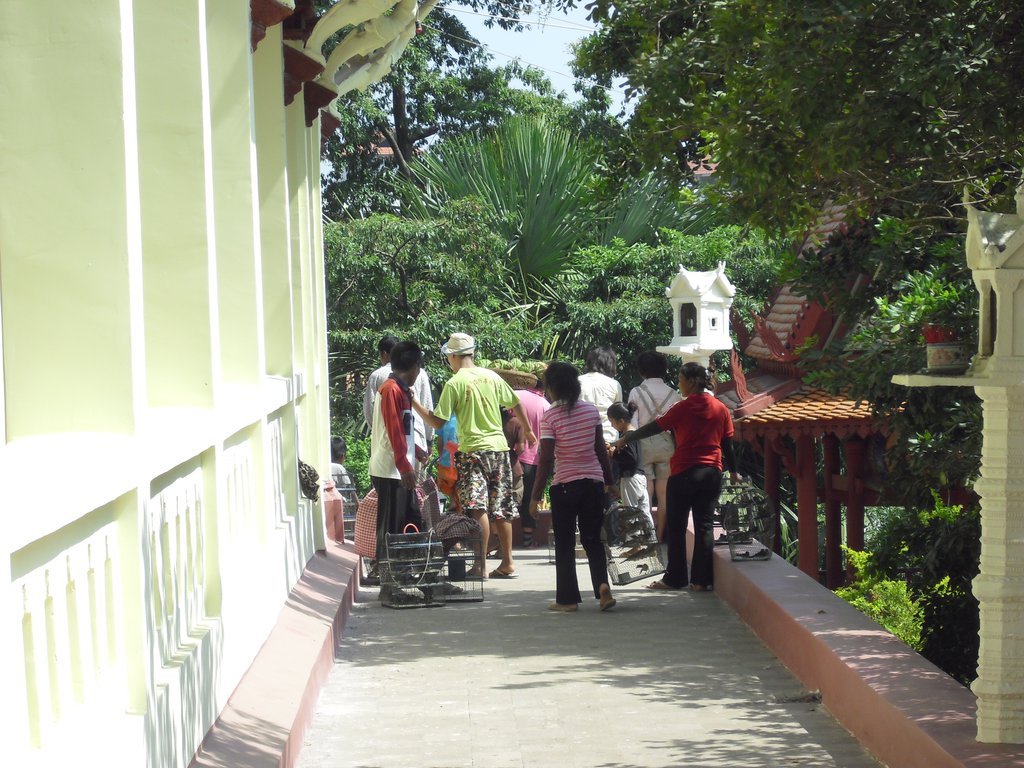 Image CIMG3758.JPG
