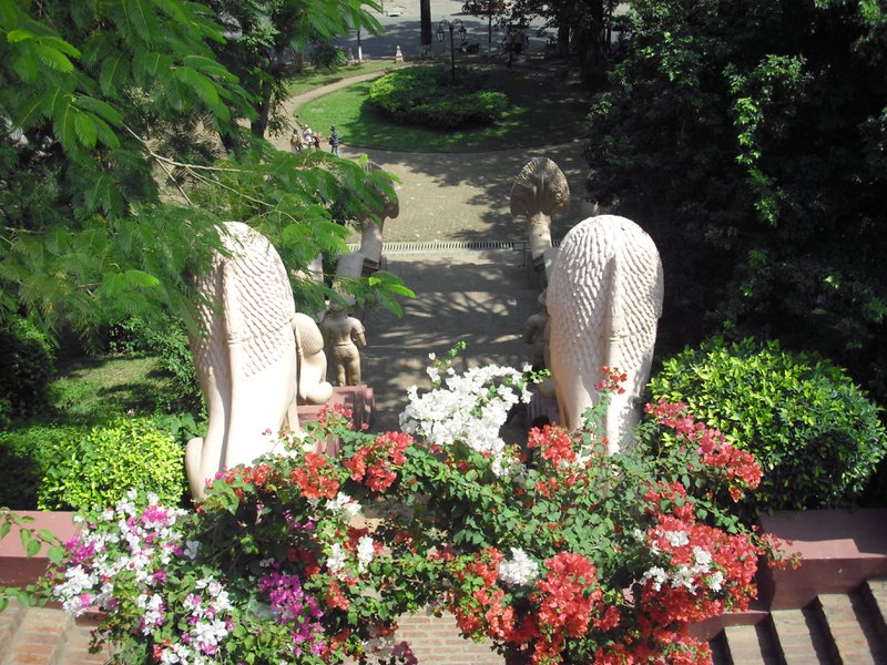 Image CIMG3781.JPG