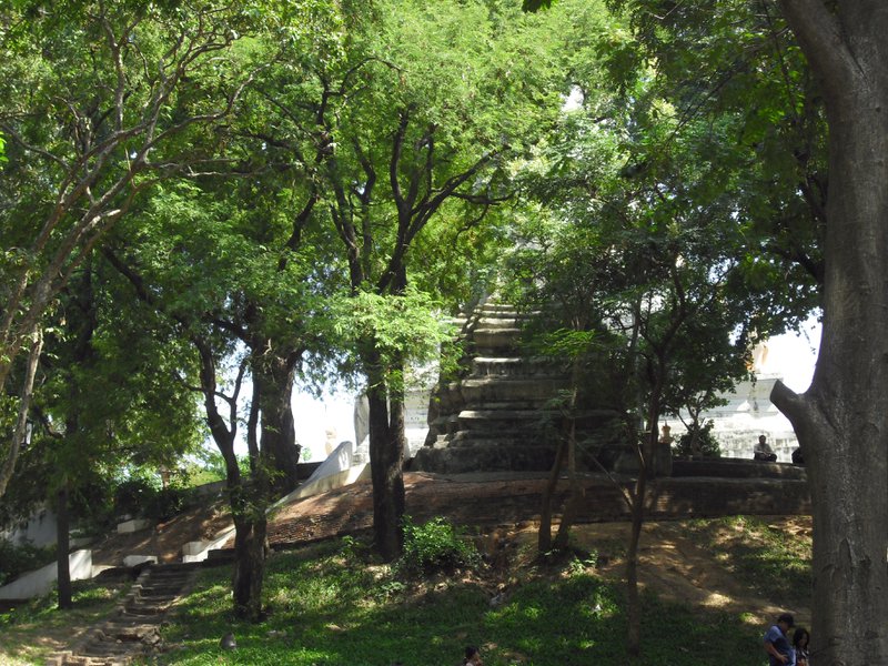 Image CIMG3787.JPG