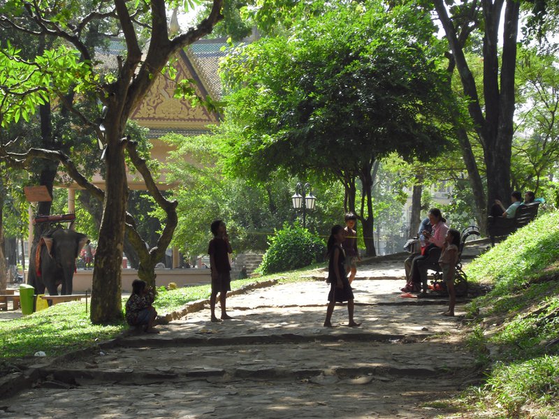Image CIMG3790.JPG