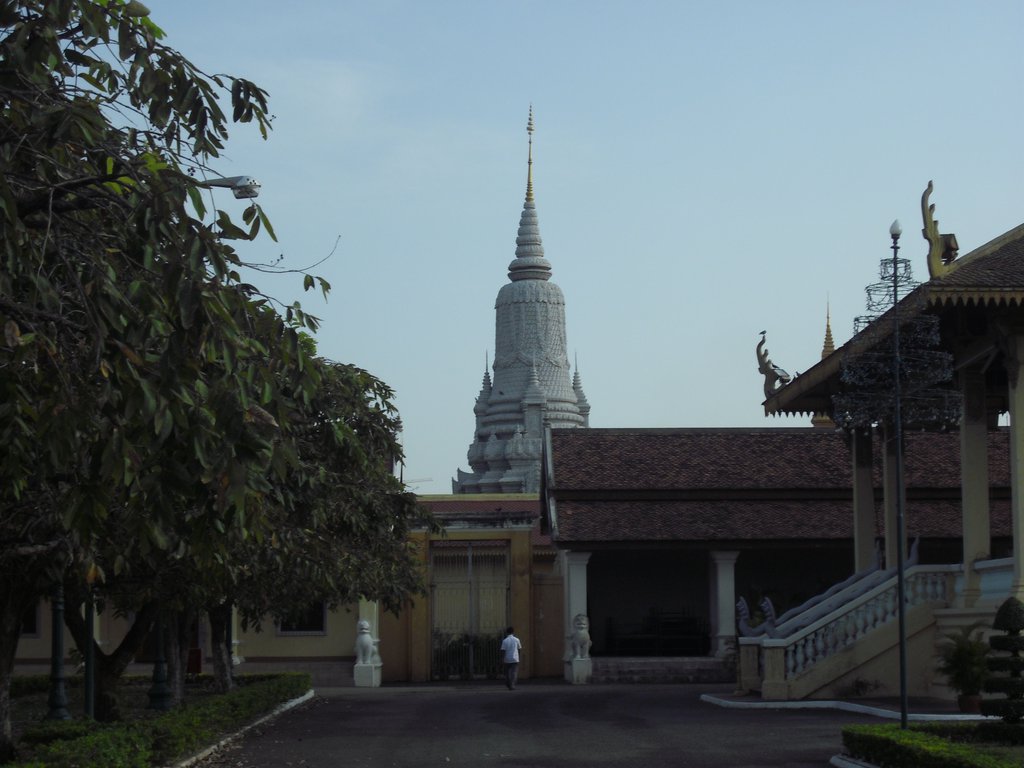 Image CIMG3843.JPG