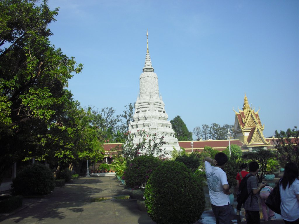 Image CIMG3866.JPG