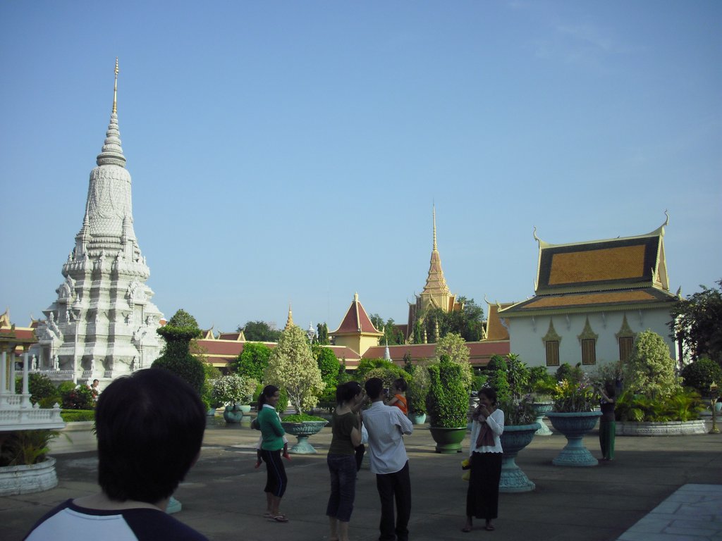 Image CIMG3867.JPG