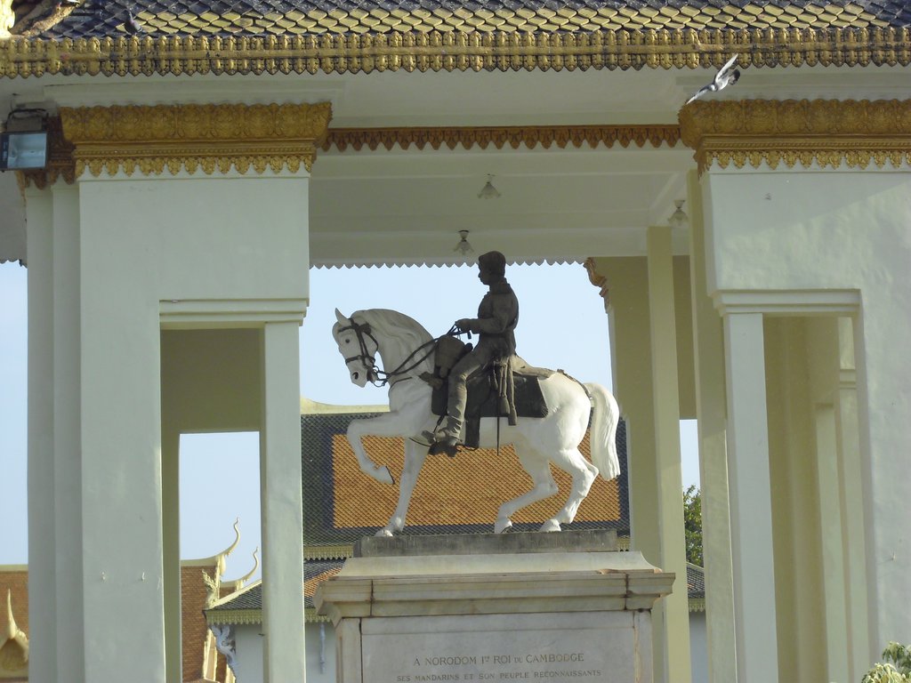 Image CIMG3870.JPG