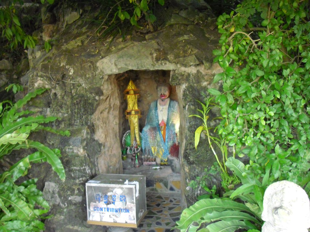 Image CIMG3873.JPG