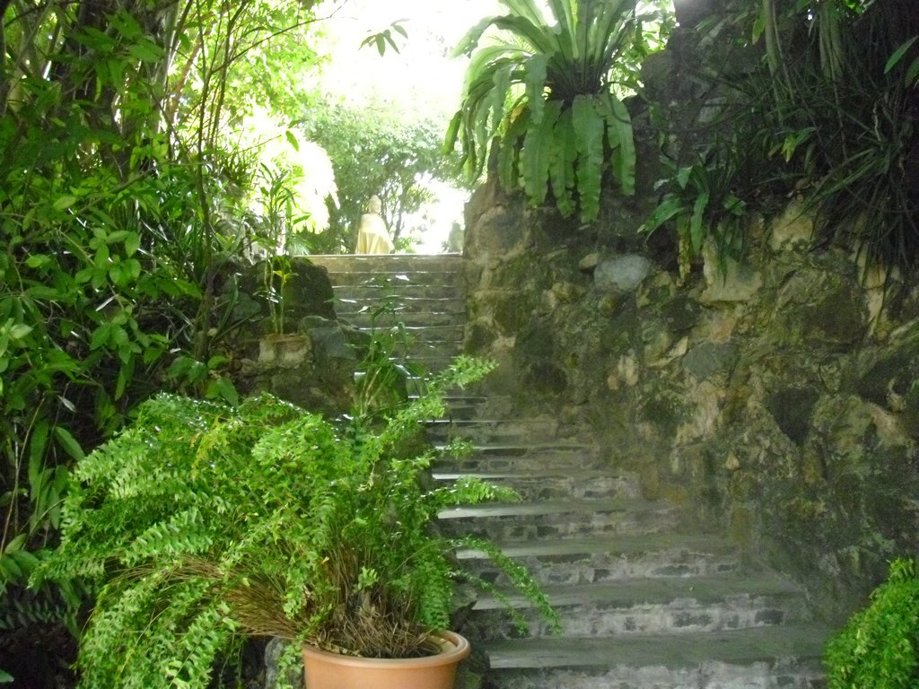 Image CIMG3877.JPG