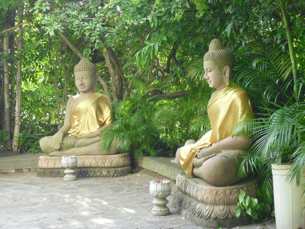 Image CIMG3878.JPG