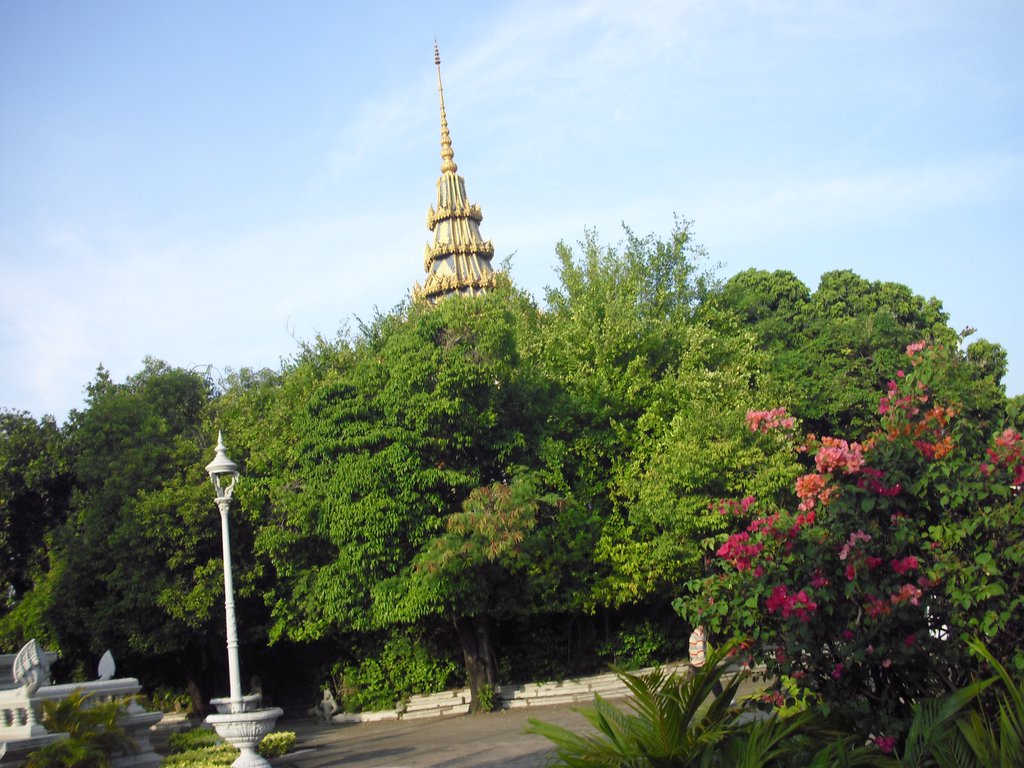 Image CIMG3881.JPG