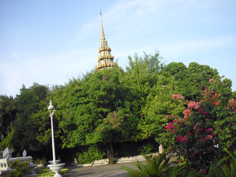 Image CIMG3881.JPG