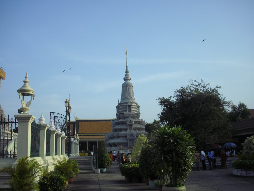 Image CIMG3898.JPG