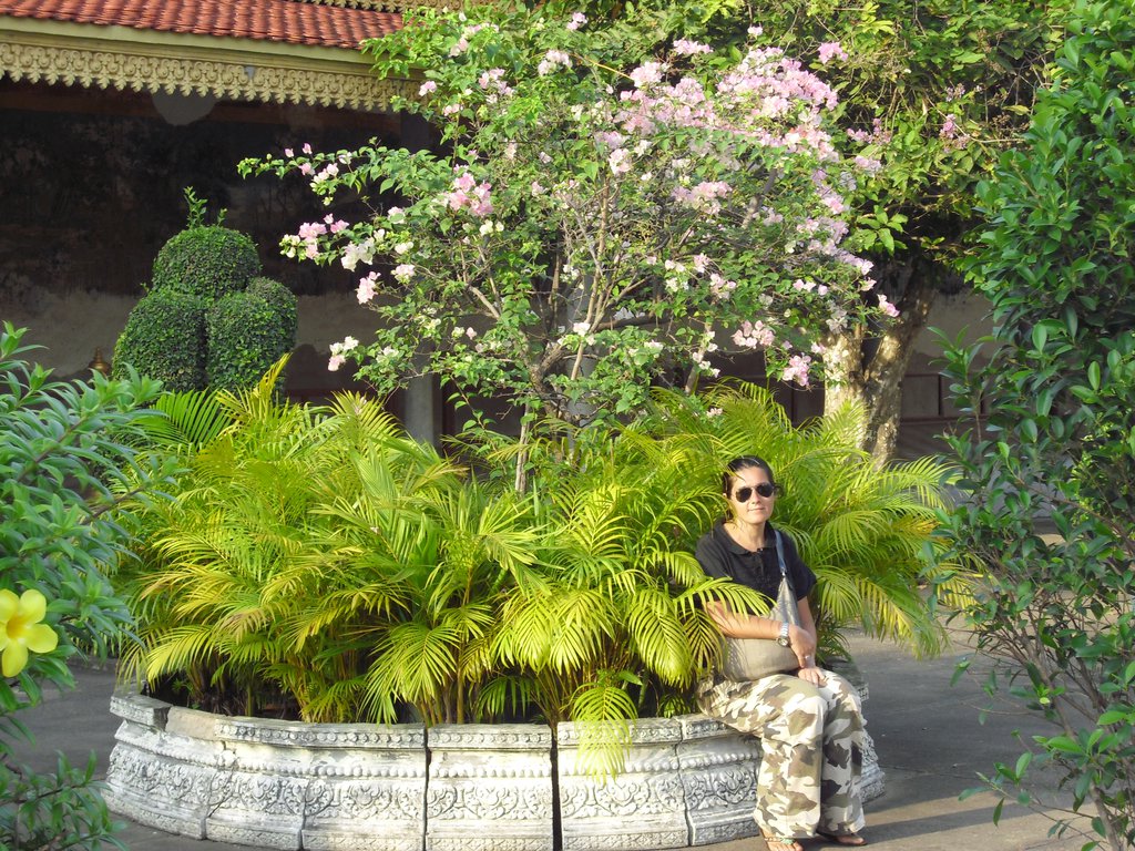 Image CIMG3899.JPG