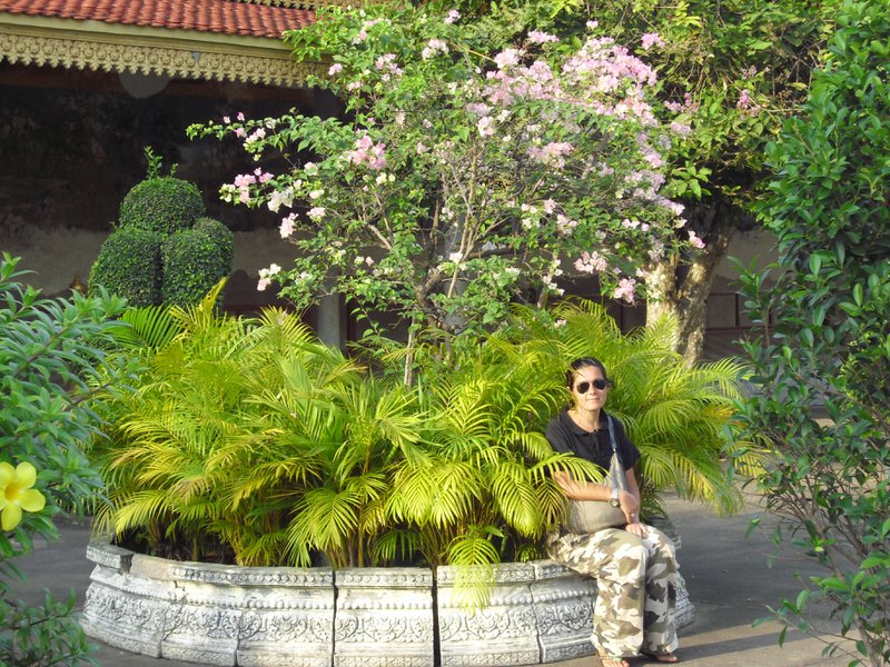 Image CIMG3899.JPG