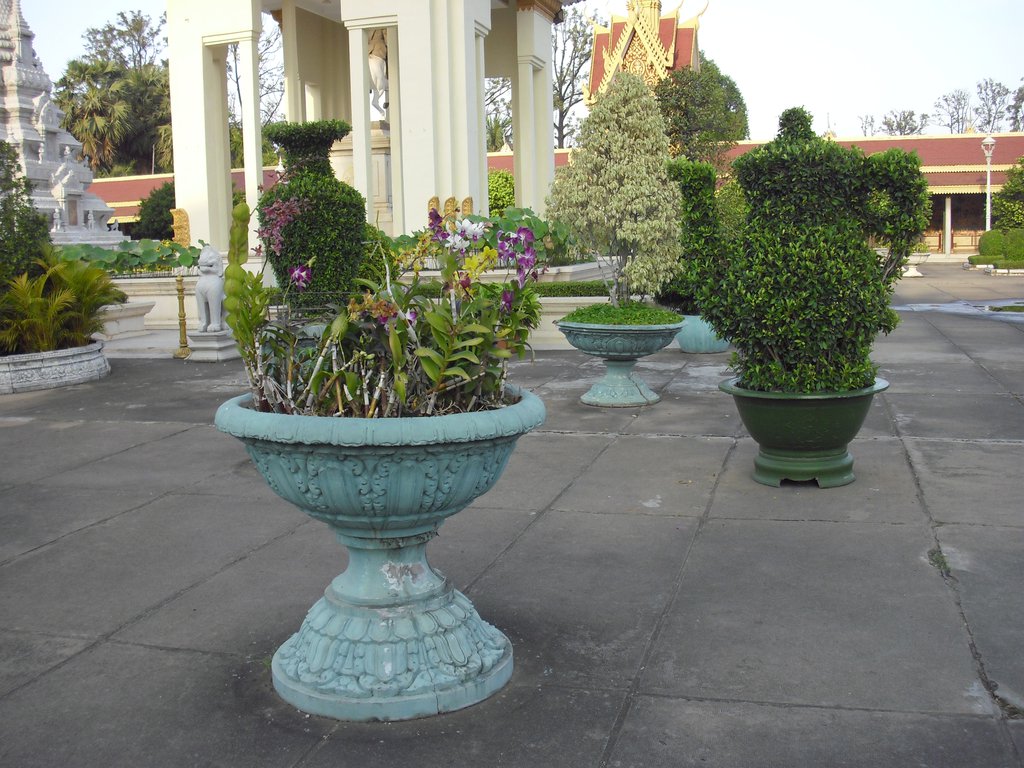 Image CIMG3900.JPG