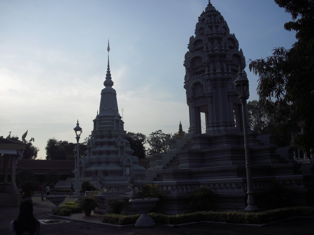 Image CIMG3902.JPG