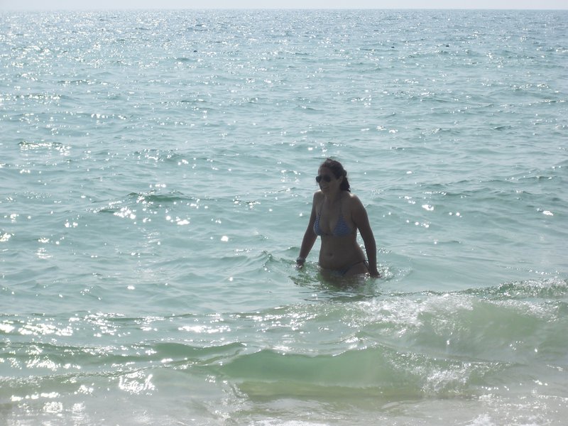 Image CIMG3951.JPG