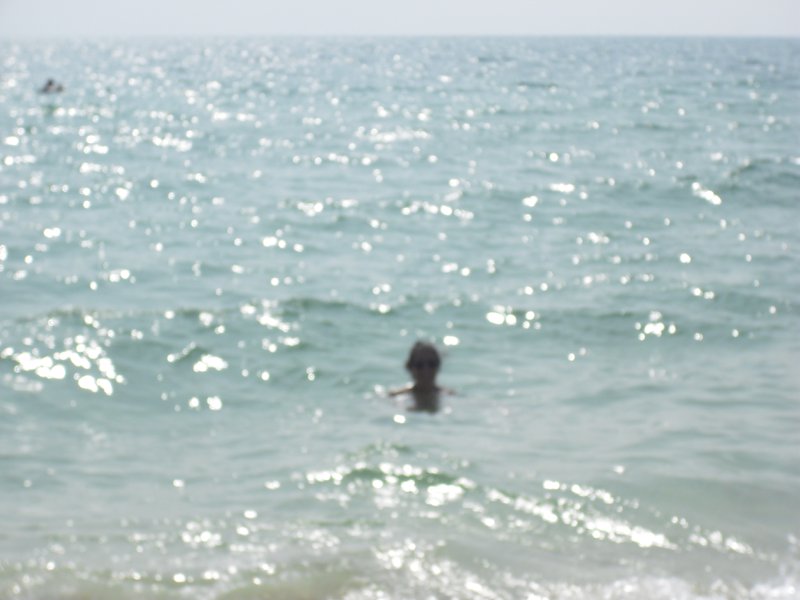 Image CIMG3952.JPG