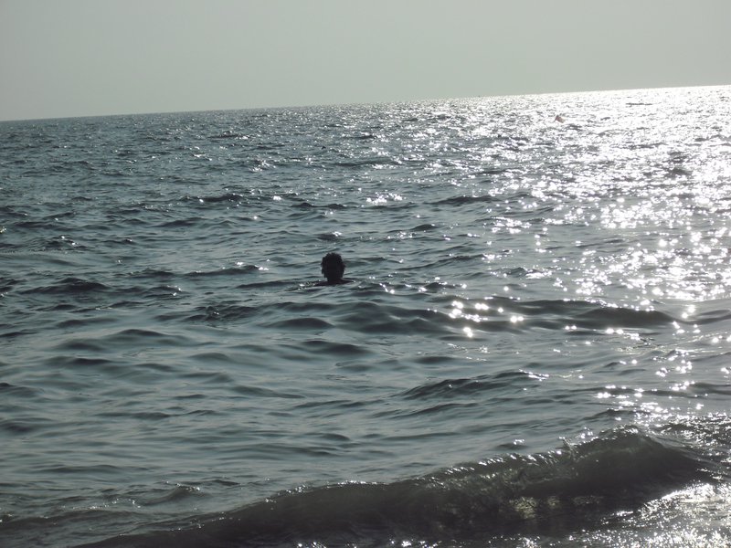 Image CIMG3959.JPG