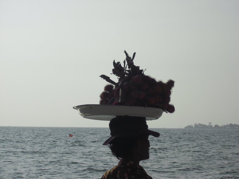 Image CIMG3963.JPG