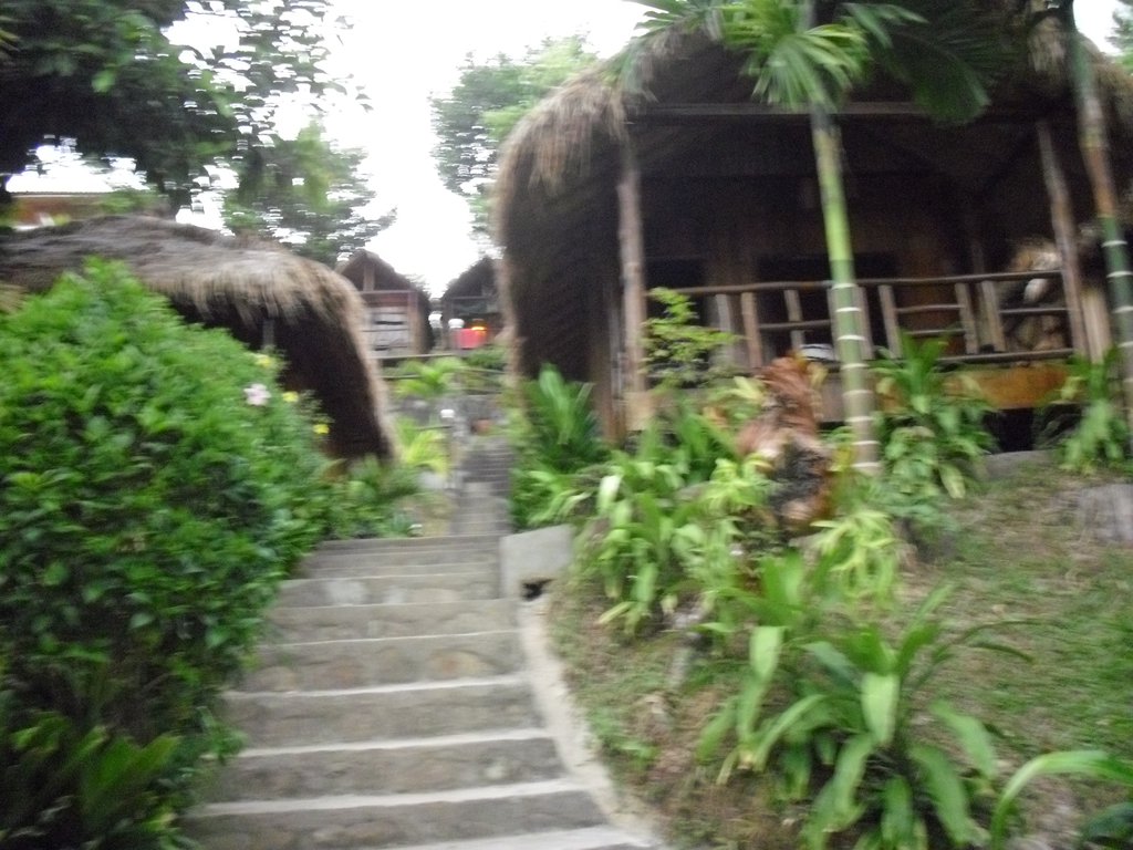 Image CIMG3985.JPG