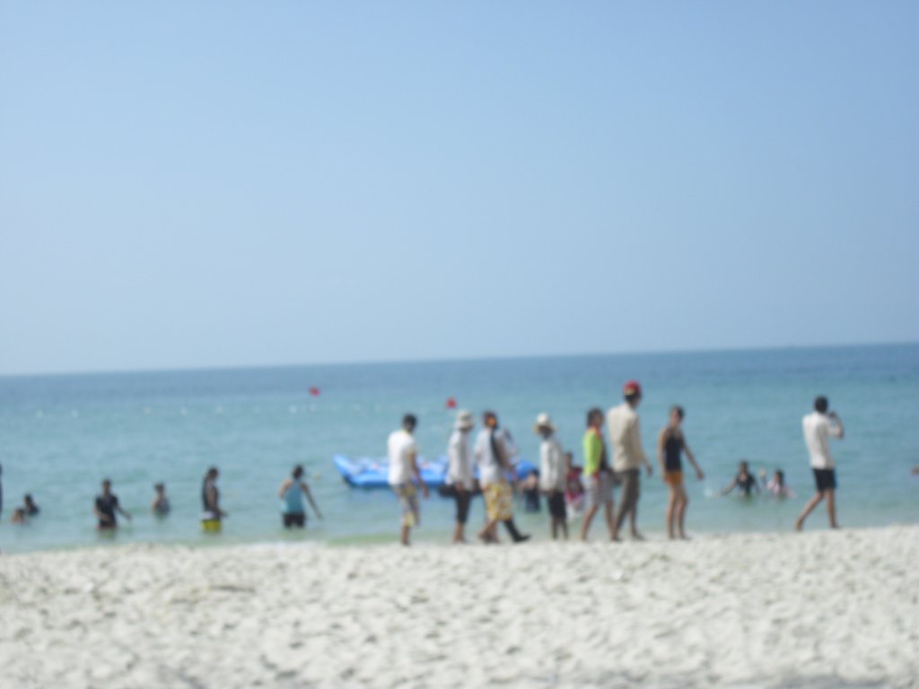 Image CIMG3987.JPG