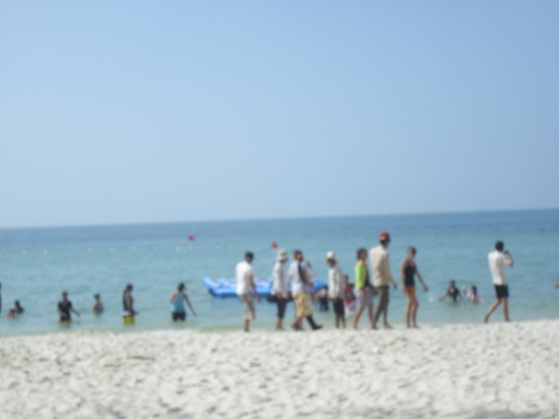 Image CIMG3987.JPG