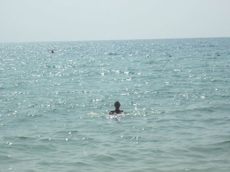 Image CIMG3996.JPG
