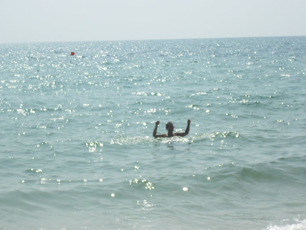 Image CIMG3997.JPG