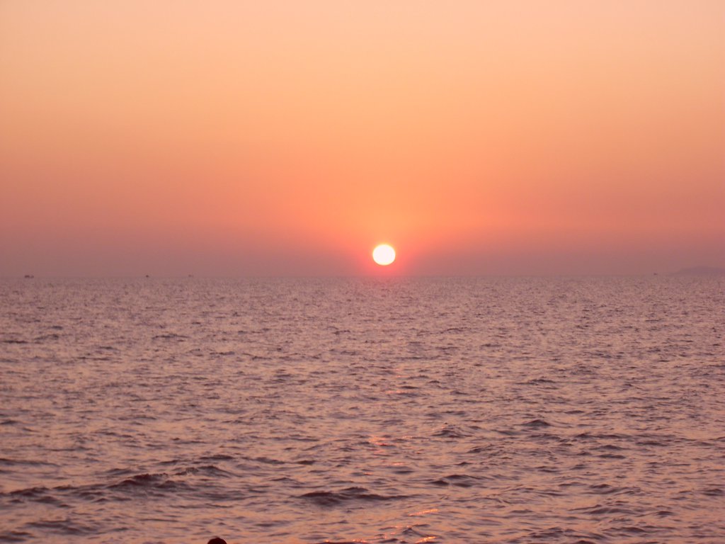 Image CIMG4024.JPG