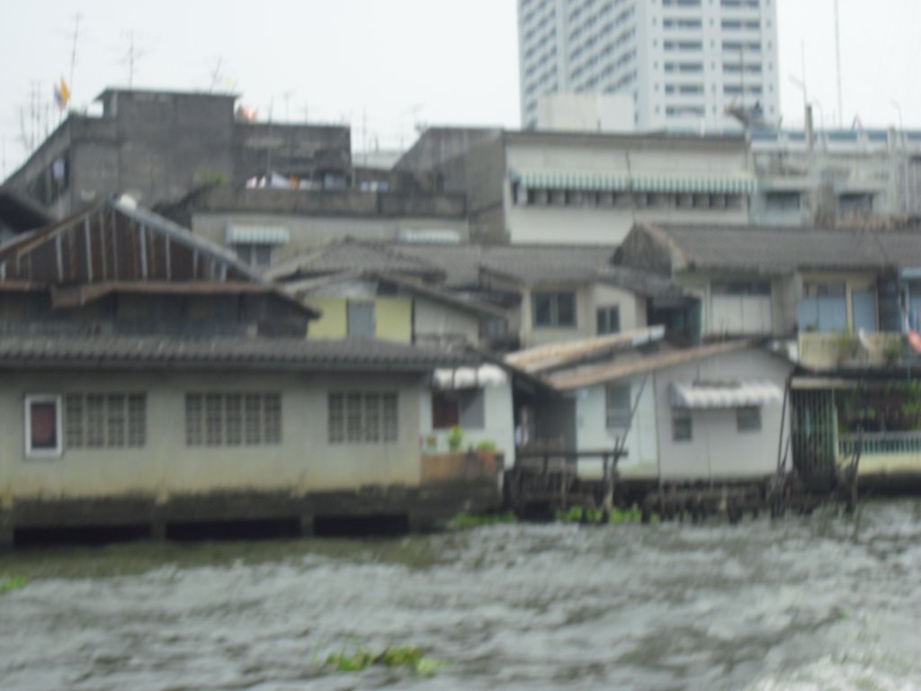 Image CIMG4050.JPG