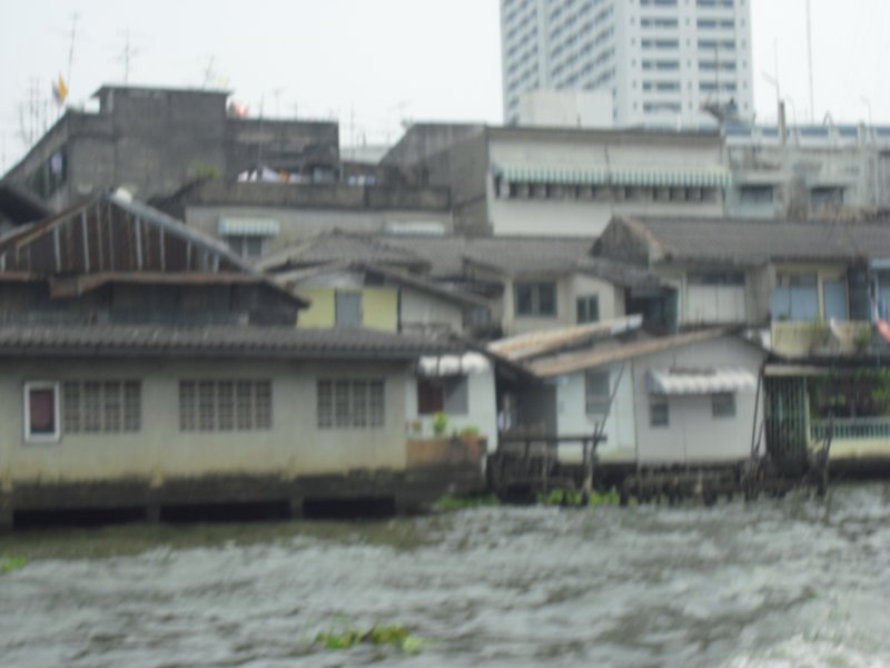 Image CIMG4050.JPG