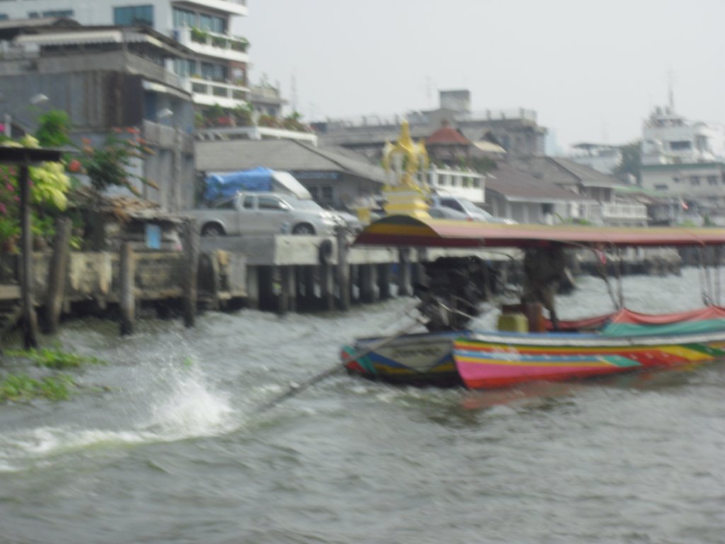 Image CIMG4052.JPG