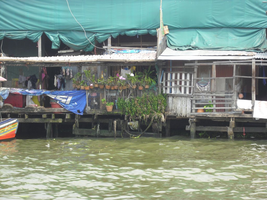 Image CIMG4058.JPG