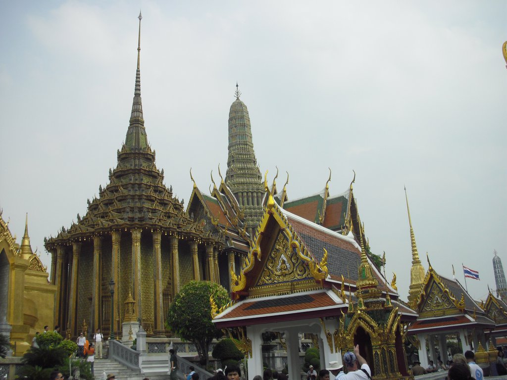 Image CIMG4071.JPG