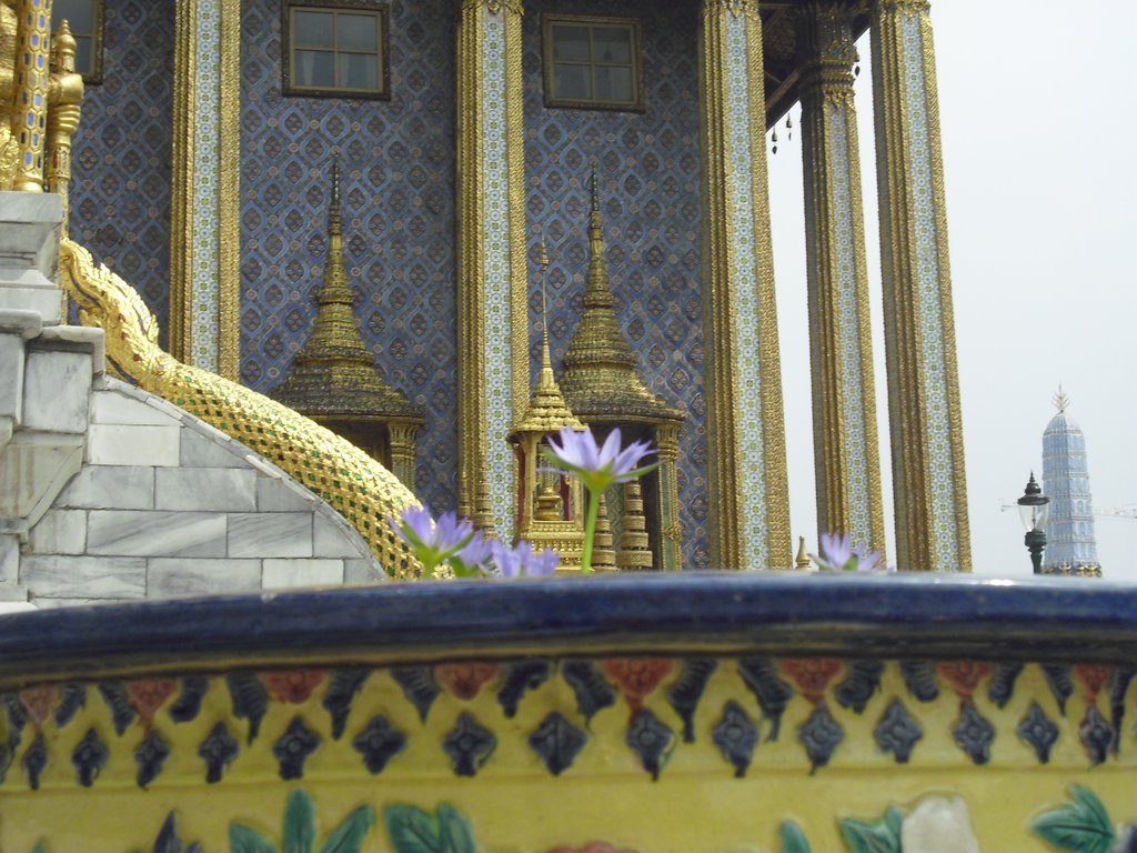 Image CIMG4080.JPG