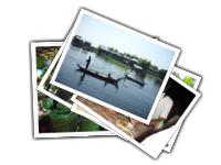 Cambogia album picture