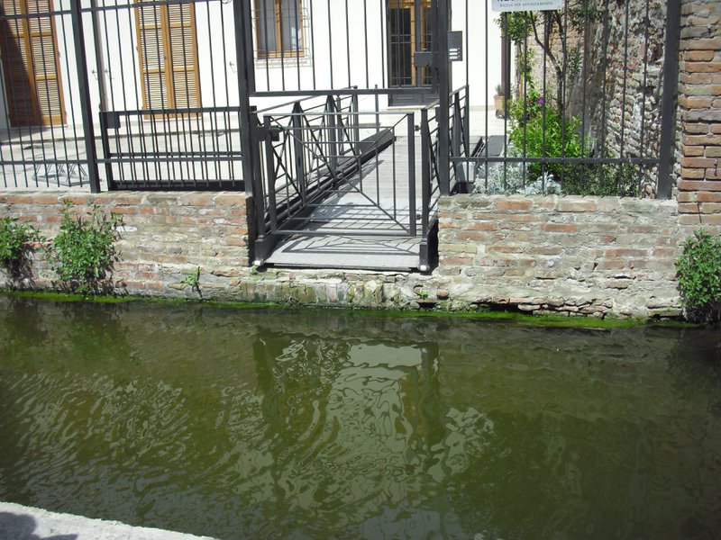 Image CIMG4486.JPG