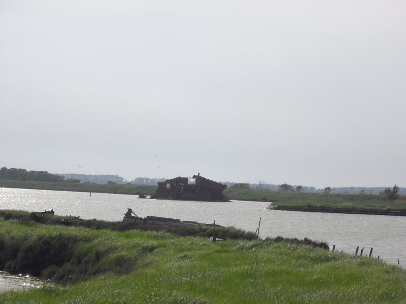 Image CIMG4501.JPG