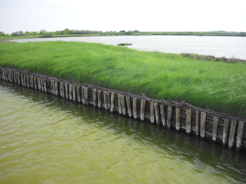 Image CIMG4502.JPG