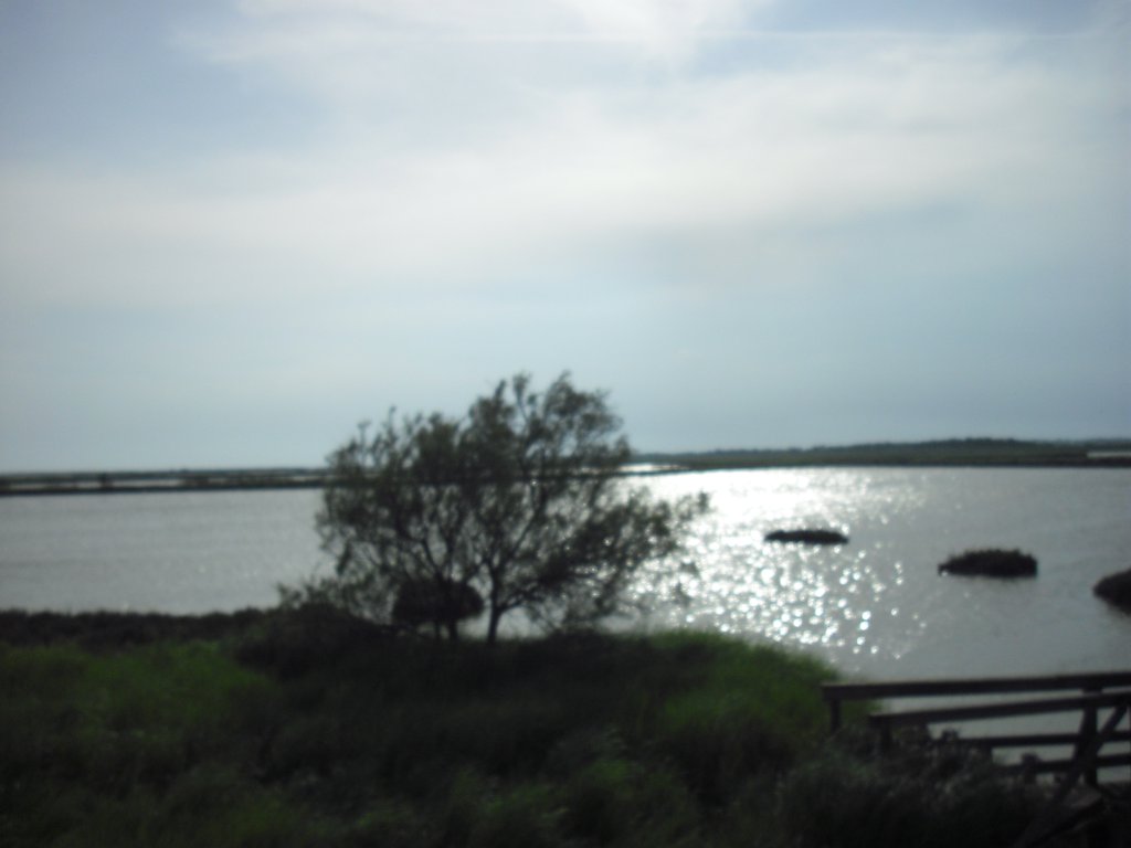 Image CIMG4503.JPG