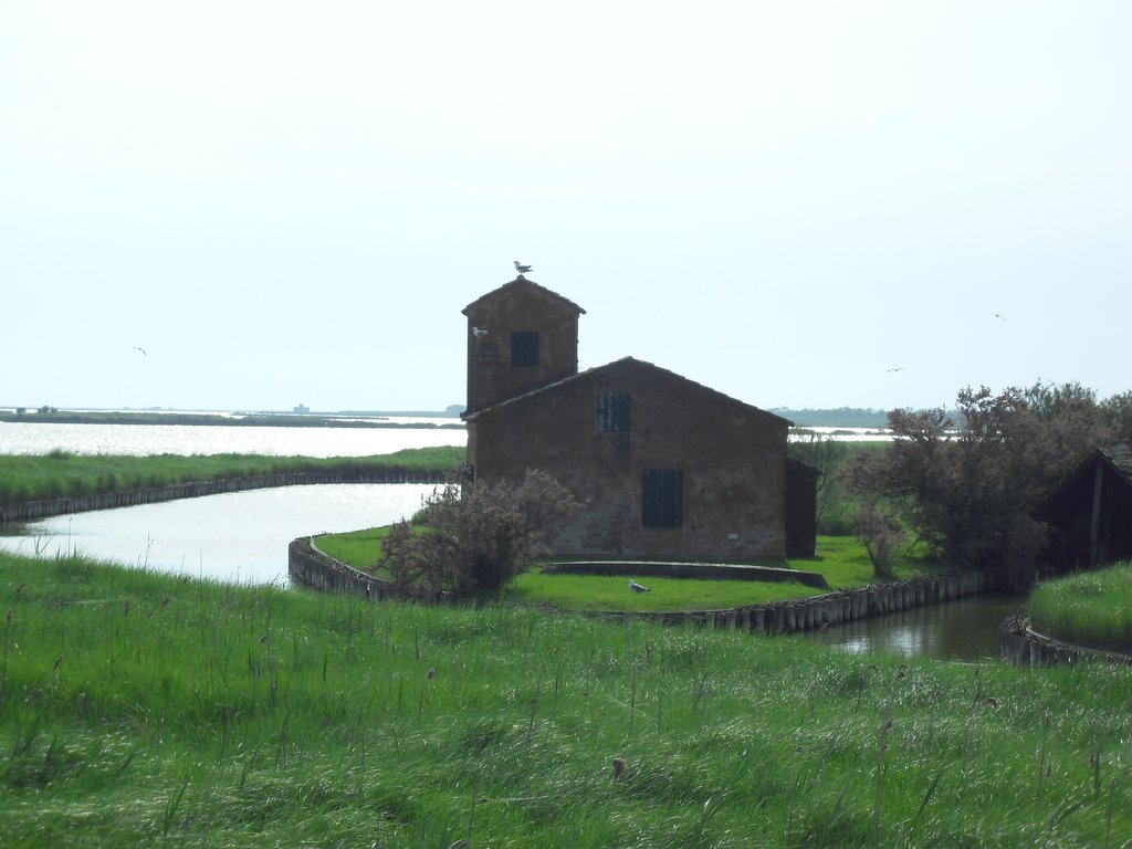 Image CIMG4505.JPG