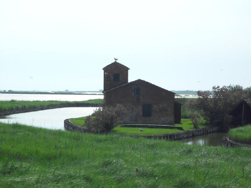 Image CIMG4505.JPG