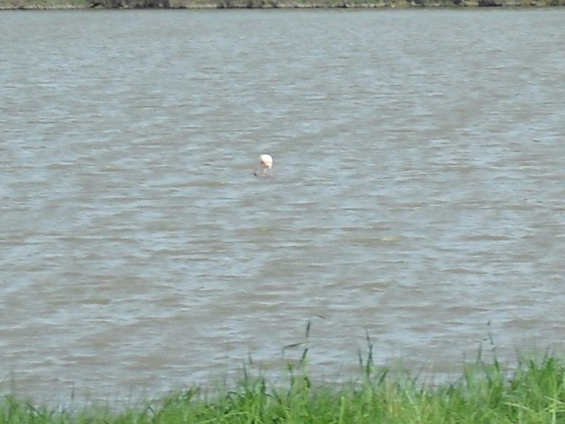 Image CIMG4506.JPG
