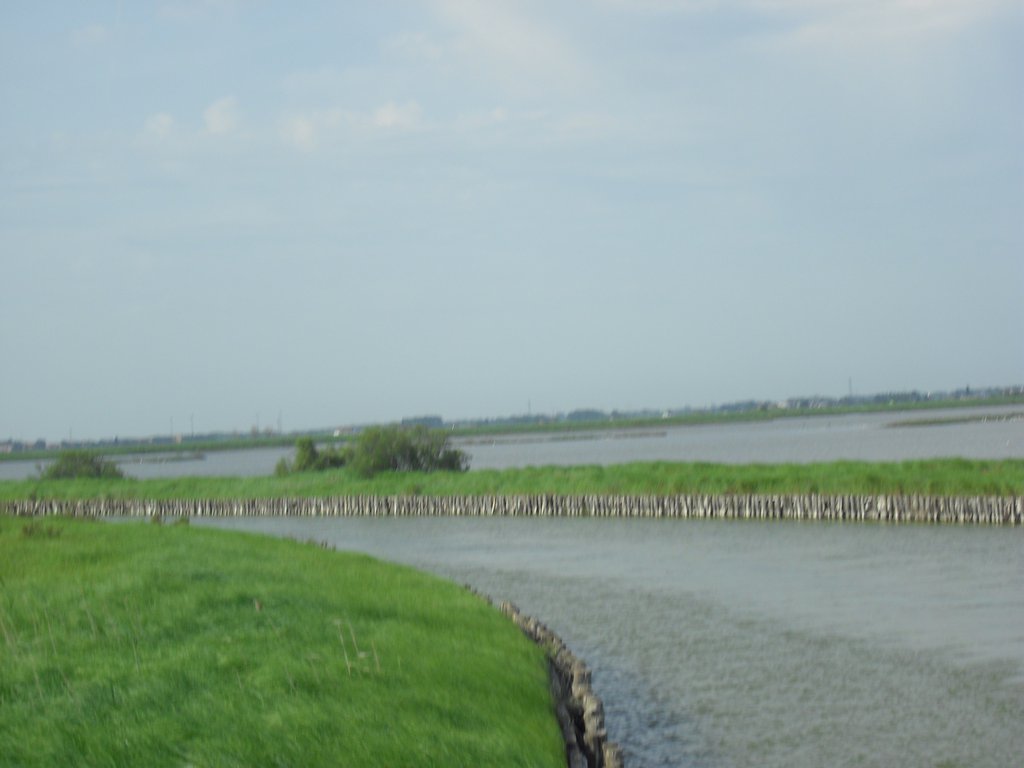 Image CIMG4508.JPG