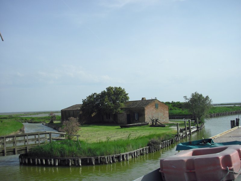 Image CIMG4509.JPG