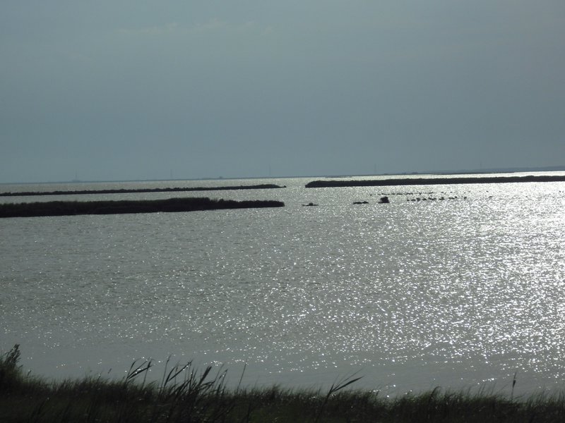 Image CIMG4511.JPG