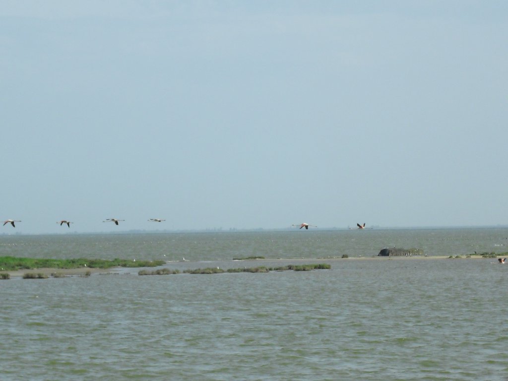 Image CIMG4512.JPG