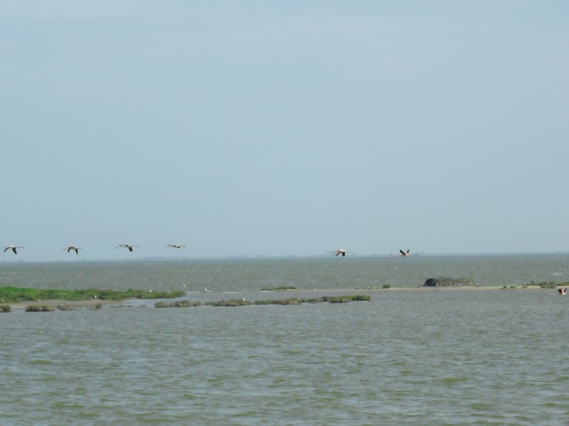 Image CIMG4512.JPG