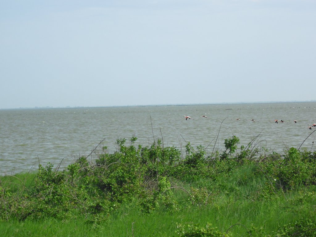 Image CIMG4513.JPG