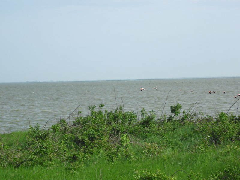 Image CIMG4513.JPG