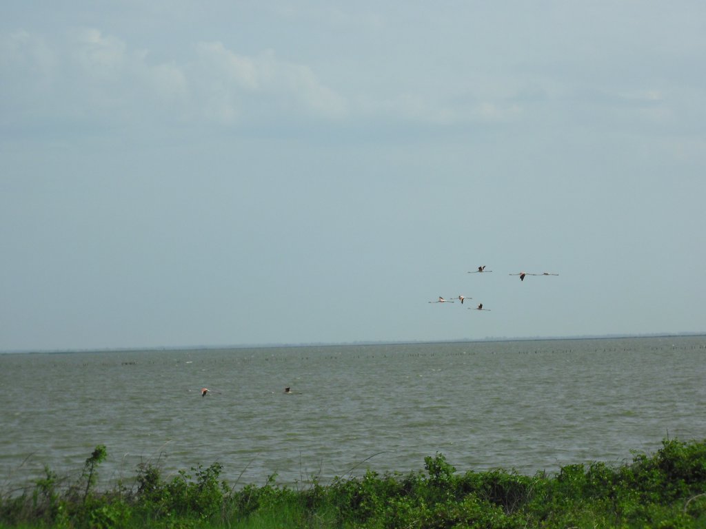 Image CIMG4514.JPG